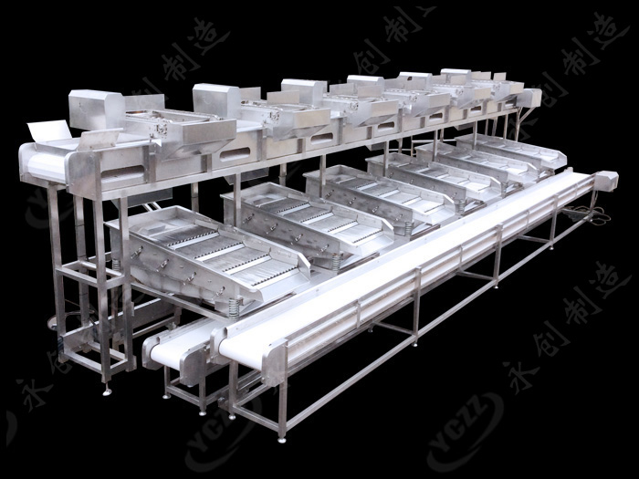 毛豆筛选流水线